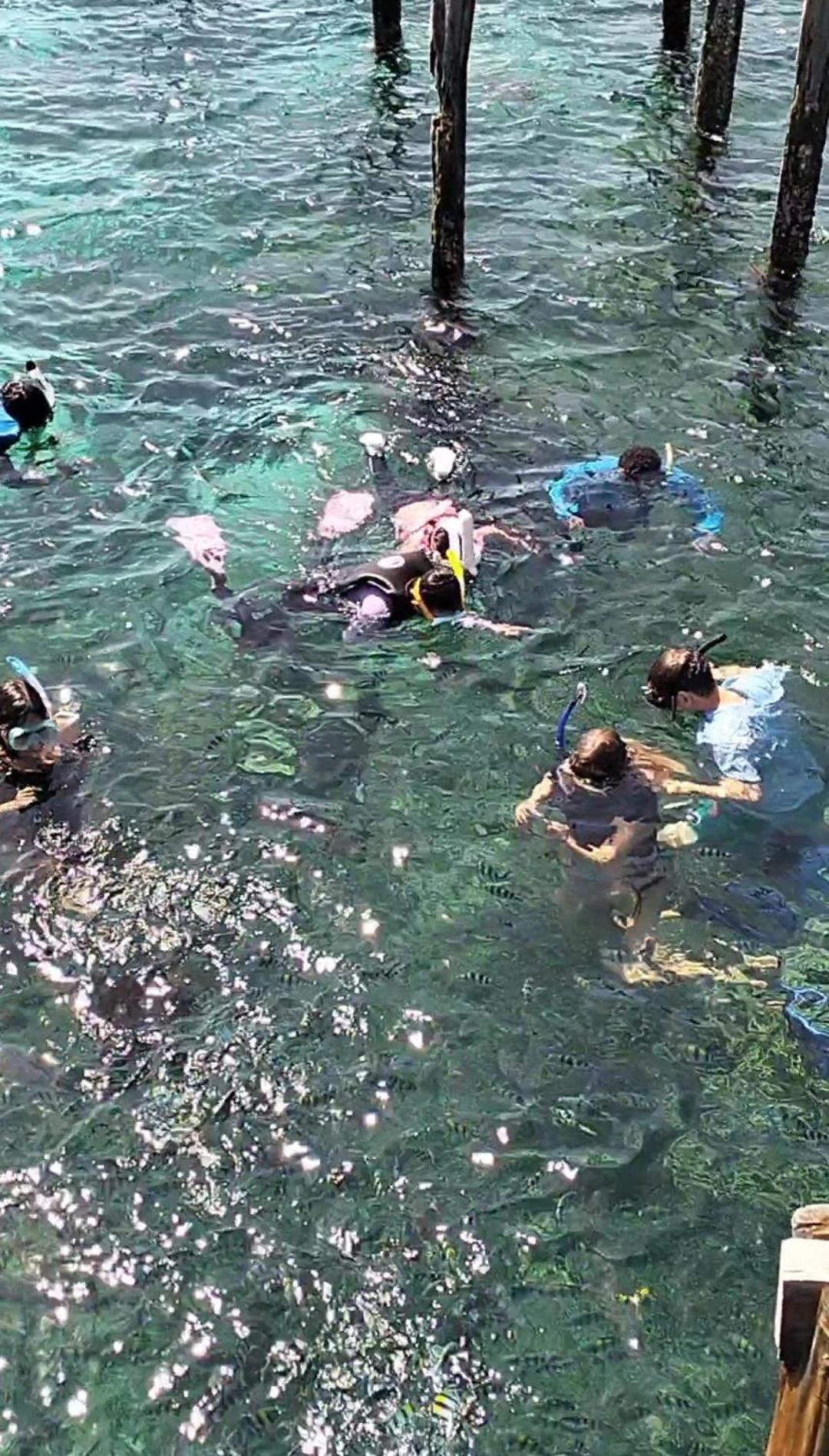 Bruno Raja Ampat Homestay Pulau Mansuar Exterior foto